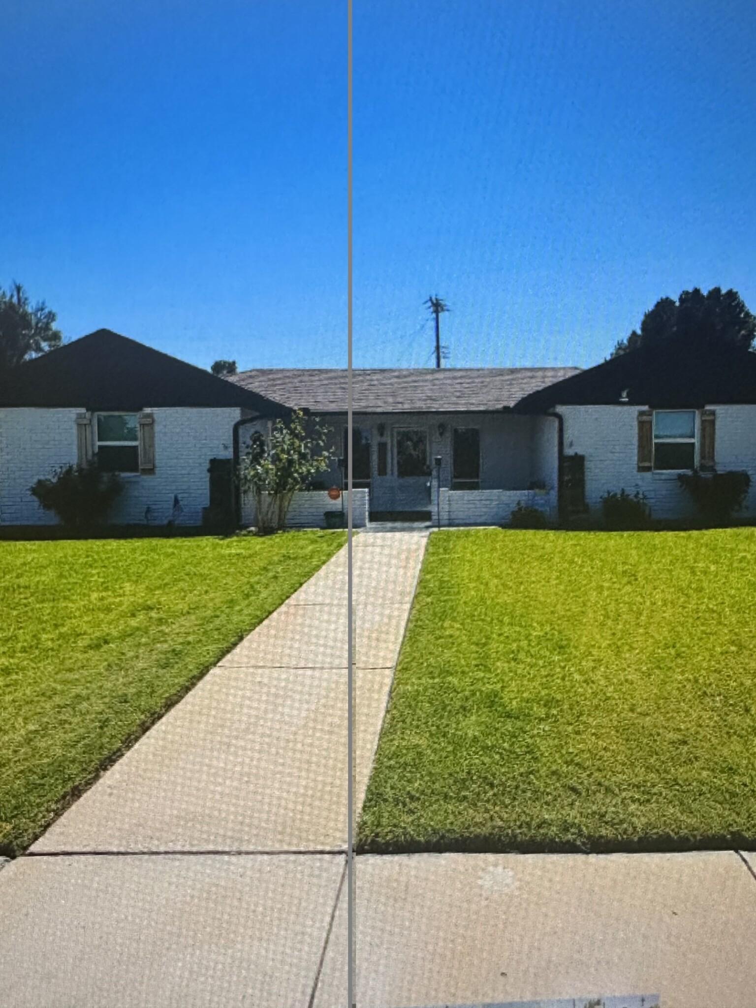 Yard of the Week: 2001 W Bullock’s Beautiful Transformation