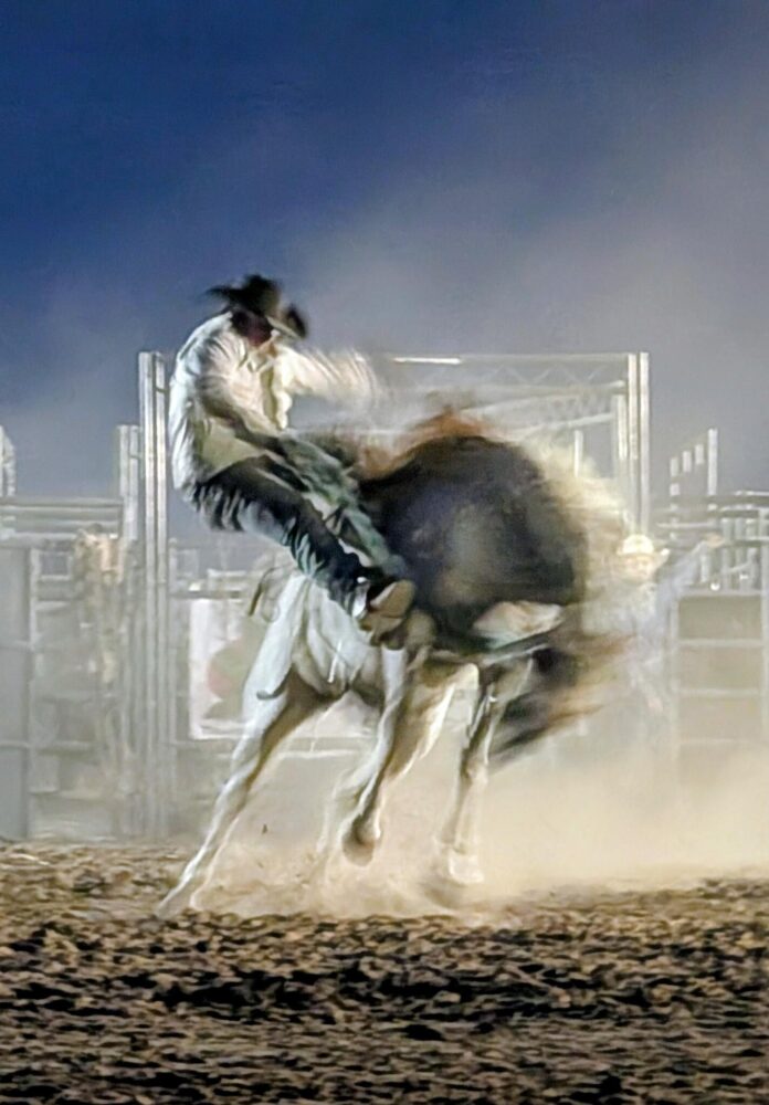 Bronco