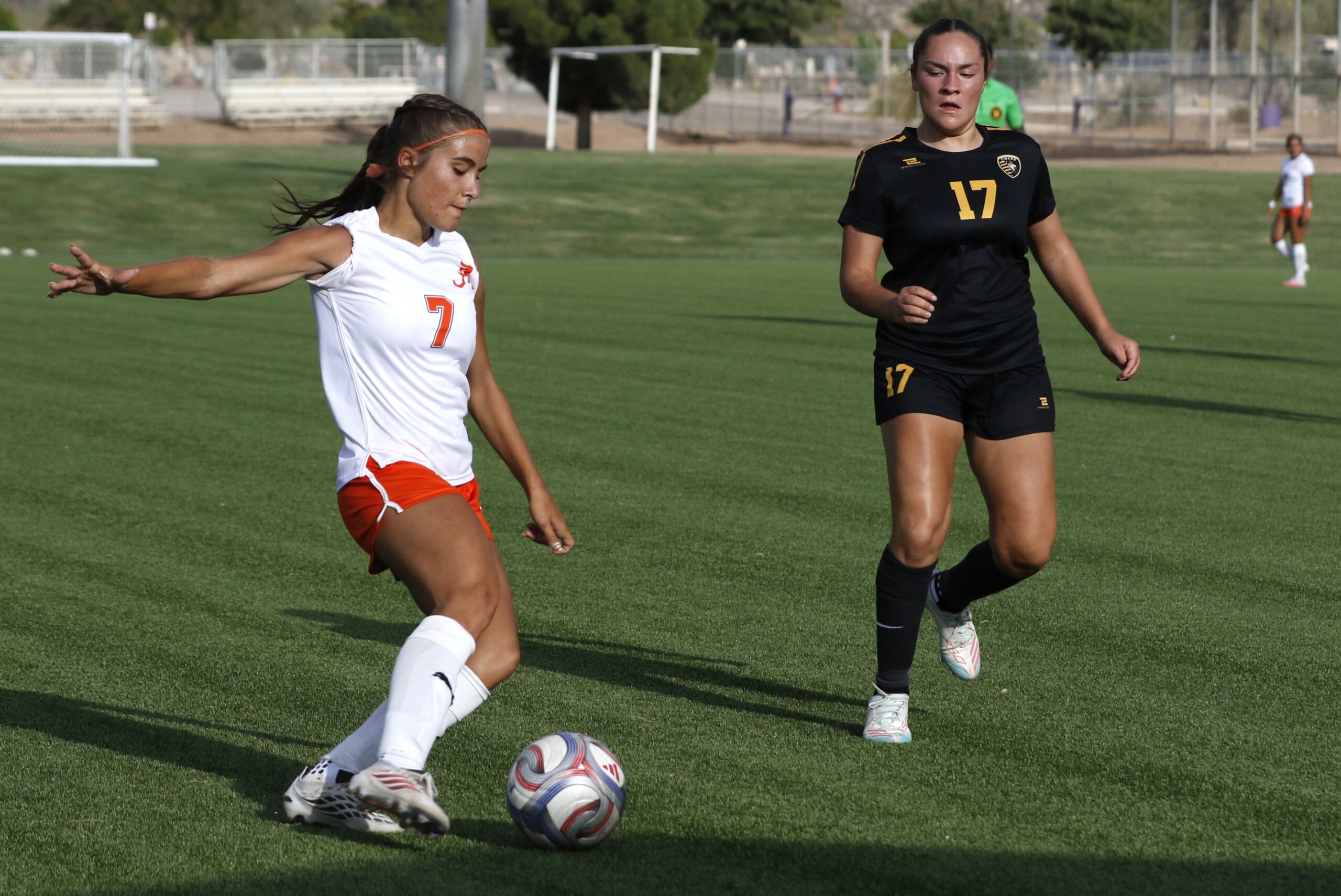 Alamogordo’s soccer girls can’t overcome Artesia advantage