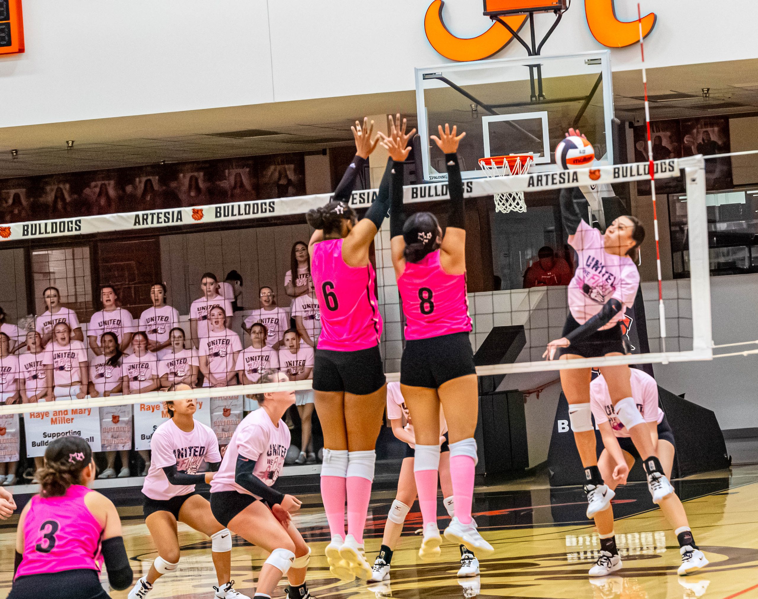 Artesia girls volleyball falls to Goddard in district play